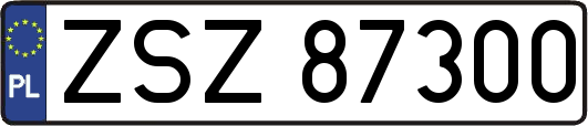 ZSZ87300