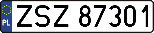 ZSZ87301