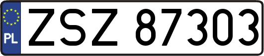 ZSZ87303