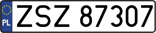 ZSZ87307