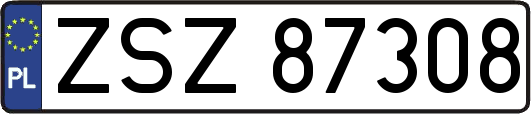 ZSZ87308