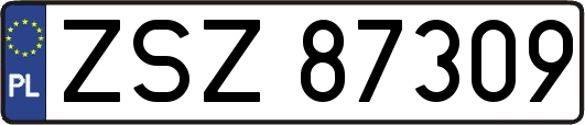 ZSZ87309