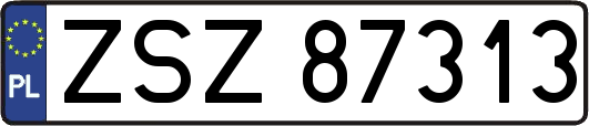 ZSZ87313