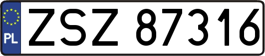 ZSZ87316