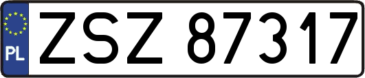ZSZ87317