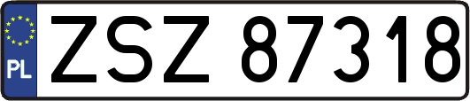 ZSZ87318