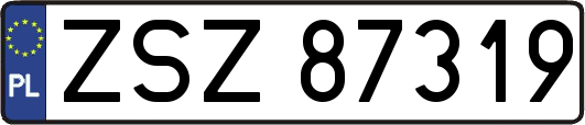 ZSZ87319