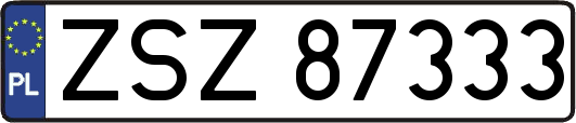 ZSZ87333