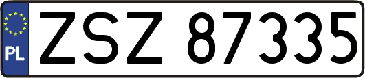 ZSZ87335