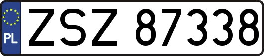 ZSZ87338