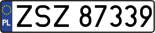 ZSZ87339