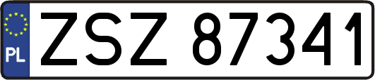 ZSZ87341