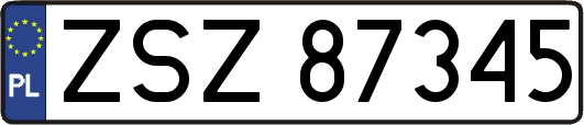 ZSZ87345