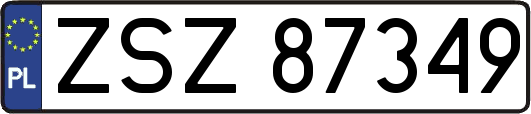 ZSZ87349