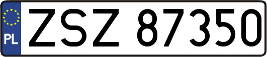 ZSZ87350