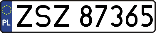 ZSZ87365