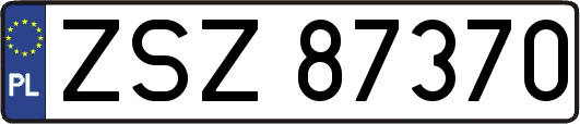 ZSZ87370