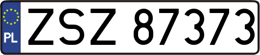 ZSZ87373