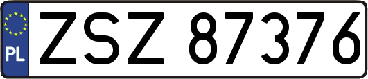ZSZ87376