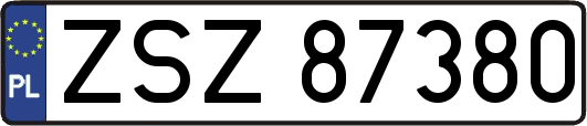 ZSZ87380