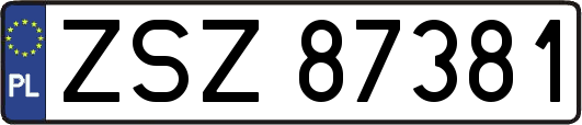ZSZ87381