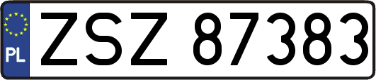 ZSZ87383