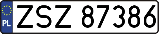 ZSZ87386