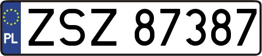 ZSZ87387