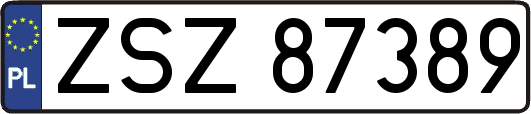 ZSZ87389