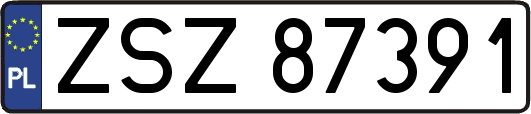 ZSZ87391