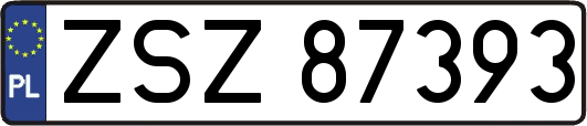 ZSZ87393
