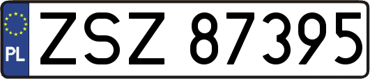ZSZ87395