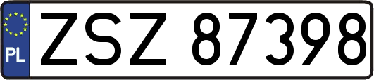 ZSZ87398