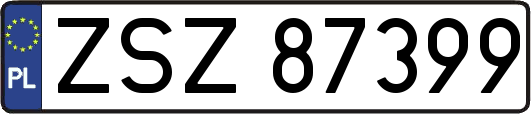 ZSZ87399