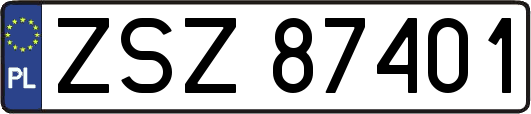 ZSZ87401