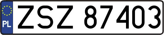 ZSZ87403