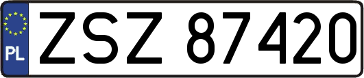ZSZ87420