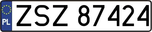 ZSZ87424
