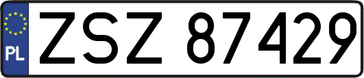 ZSZ87429