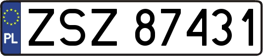 ZSZ87431