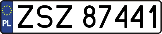 ZSZ87441
