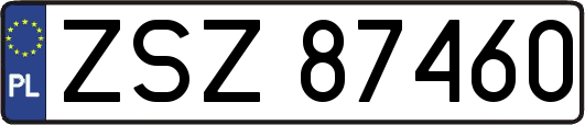 ZSZ87460
