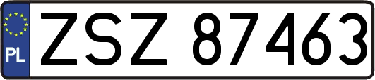 ZSZ87463
