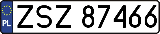 ZSZ87466