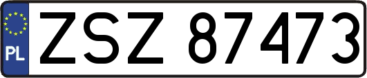 ZSZ87473