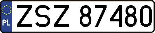 ZSZ87480