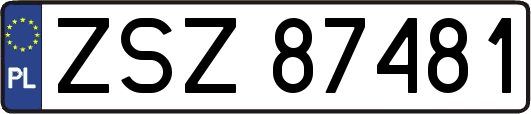 ZSZ87481