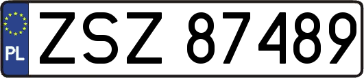 ZSZ87489