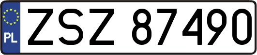 ZSZ87490