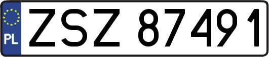 ZSZ87491